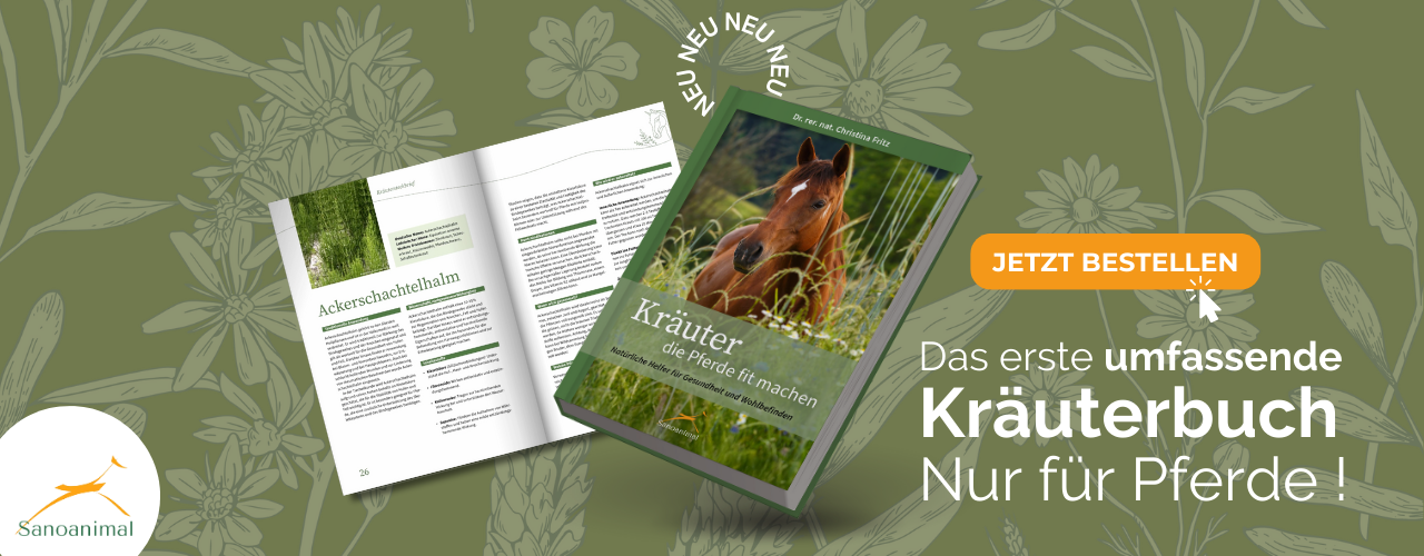 Kräuterbuch