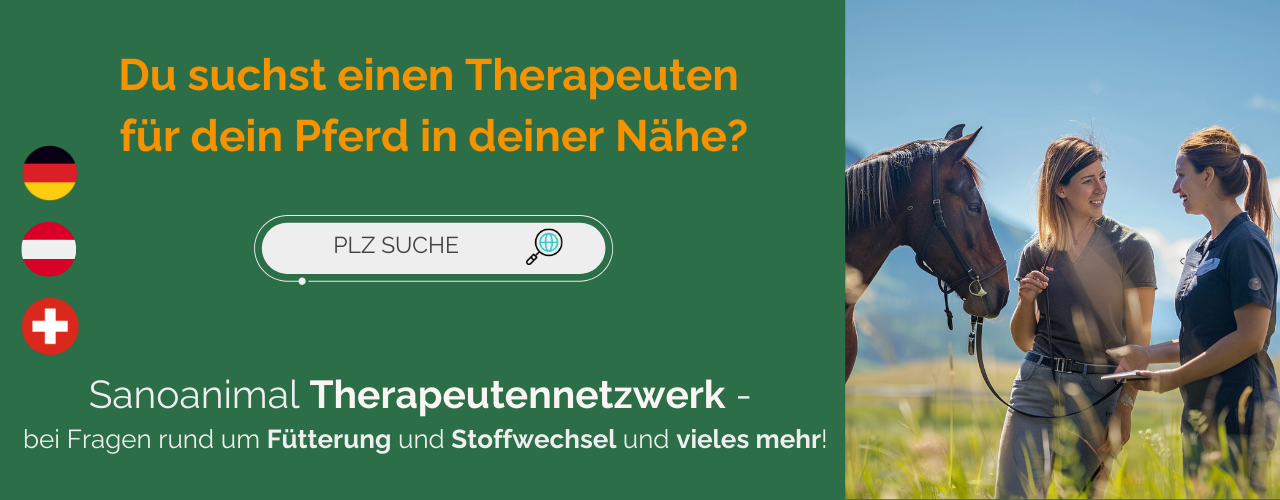 Therapeuten