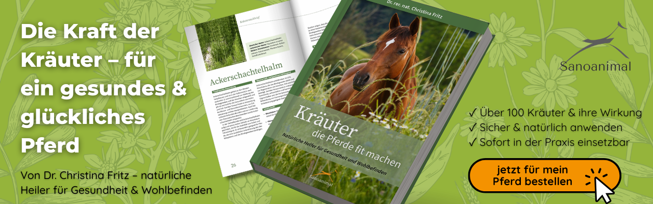 Kräuterbuch