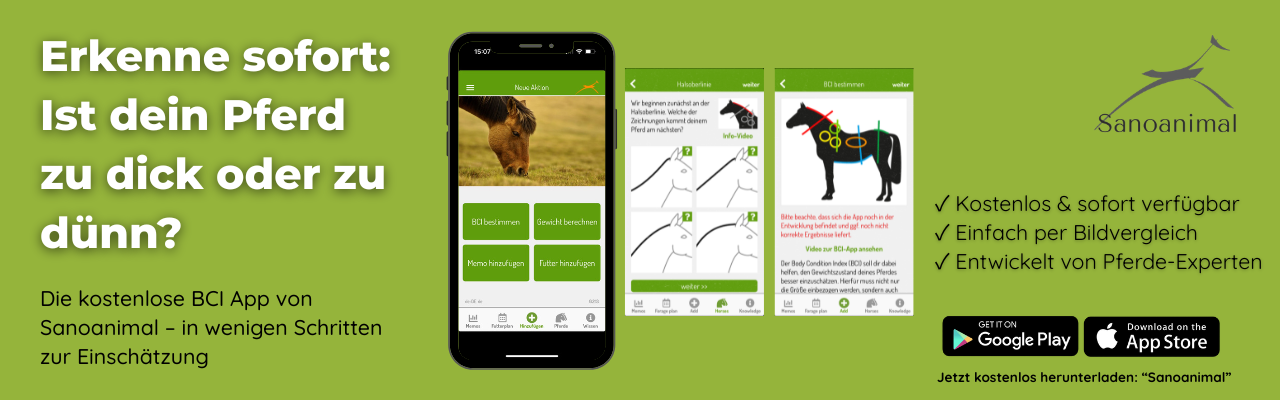 PferdeCheck App