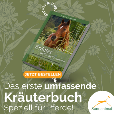 Kräuterbuch