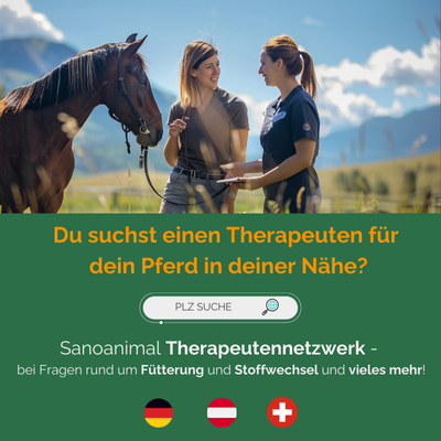 Therapeuten