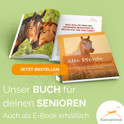 Seniorenbuch
