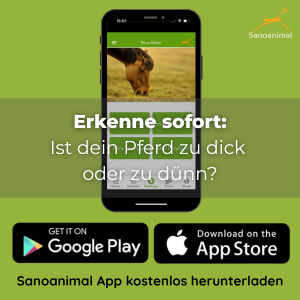 PferdeCheck App