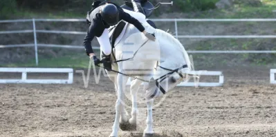 Podcast #30 Bucking, Rearing & Biting – What Is Your Horse Trying to Tell You?