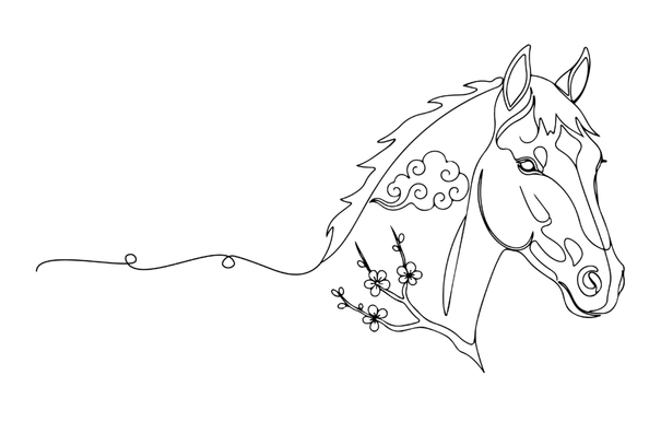 Craniosacrale Strukturen beim Pferd – Lehrmaterial der Ausbildung Illustration des craniosacralen Systems beim Pferd – Schädelknochen, Wirbelsäule und Sakrum