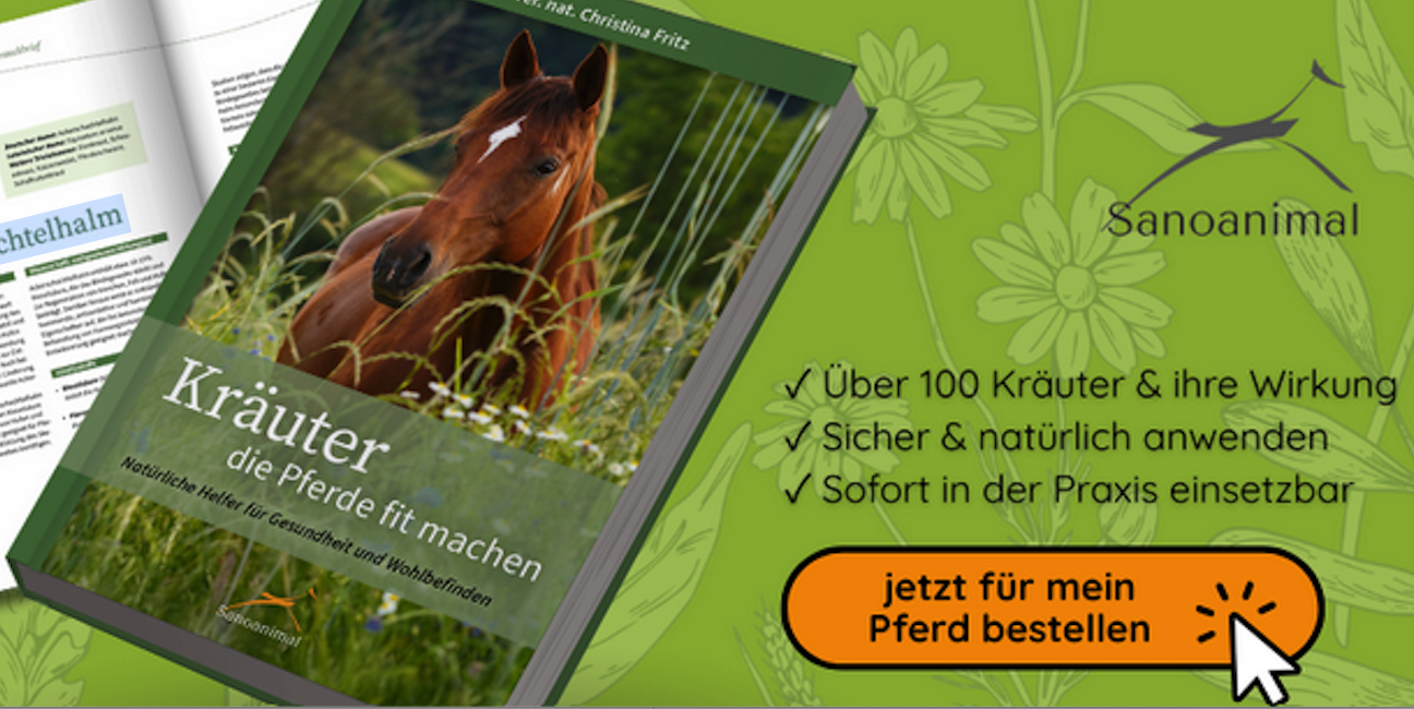 Buchtipp: Kräuter, die Pferde fit machen
