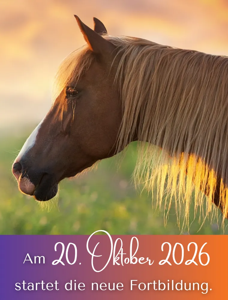Fortbildung Schüssler-Salze Pferd Starttermin 20.10.2026
