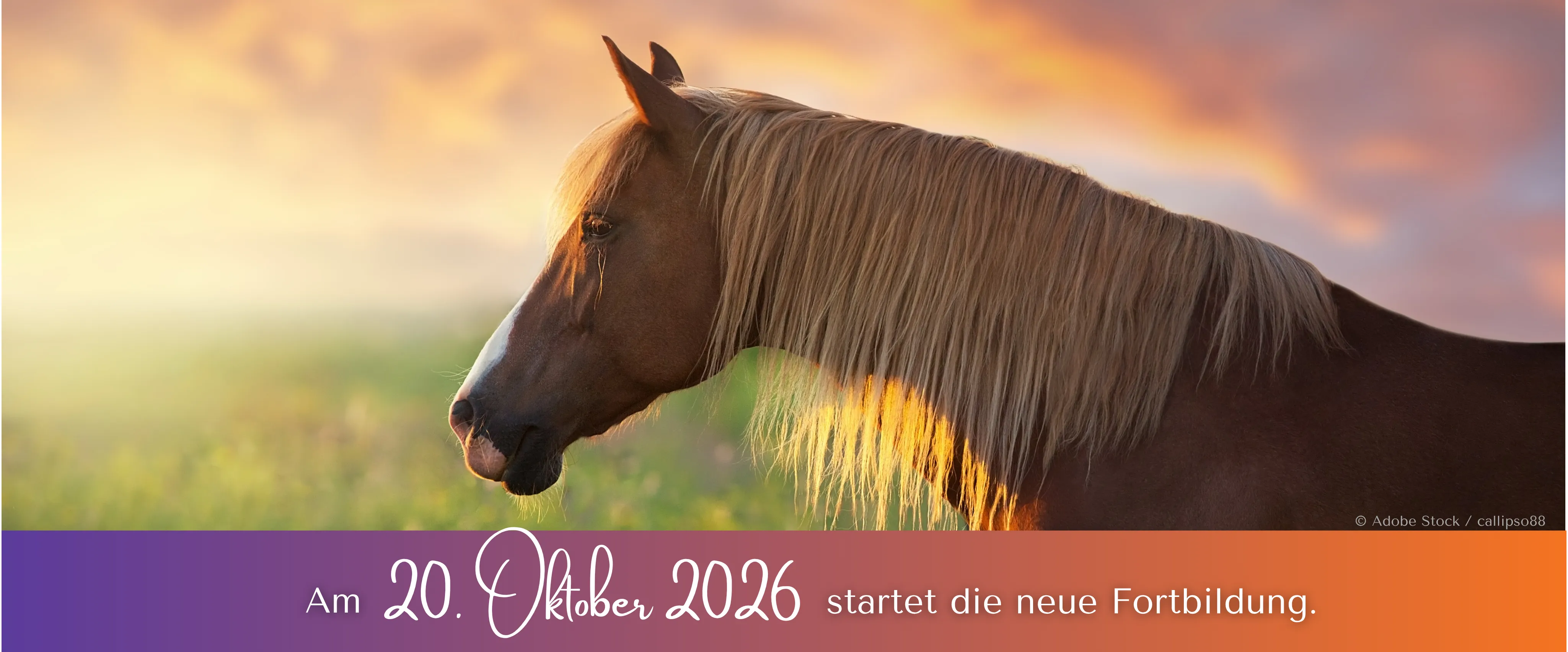 Fortbildung Schüssler-Salze Pferd Starttermin 20.10.2026