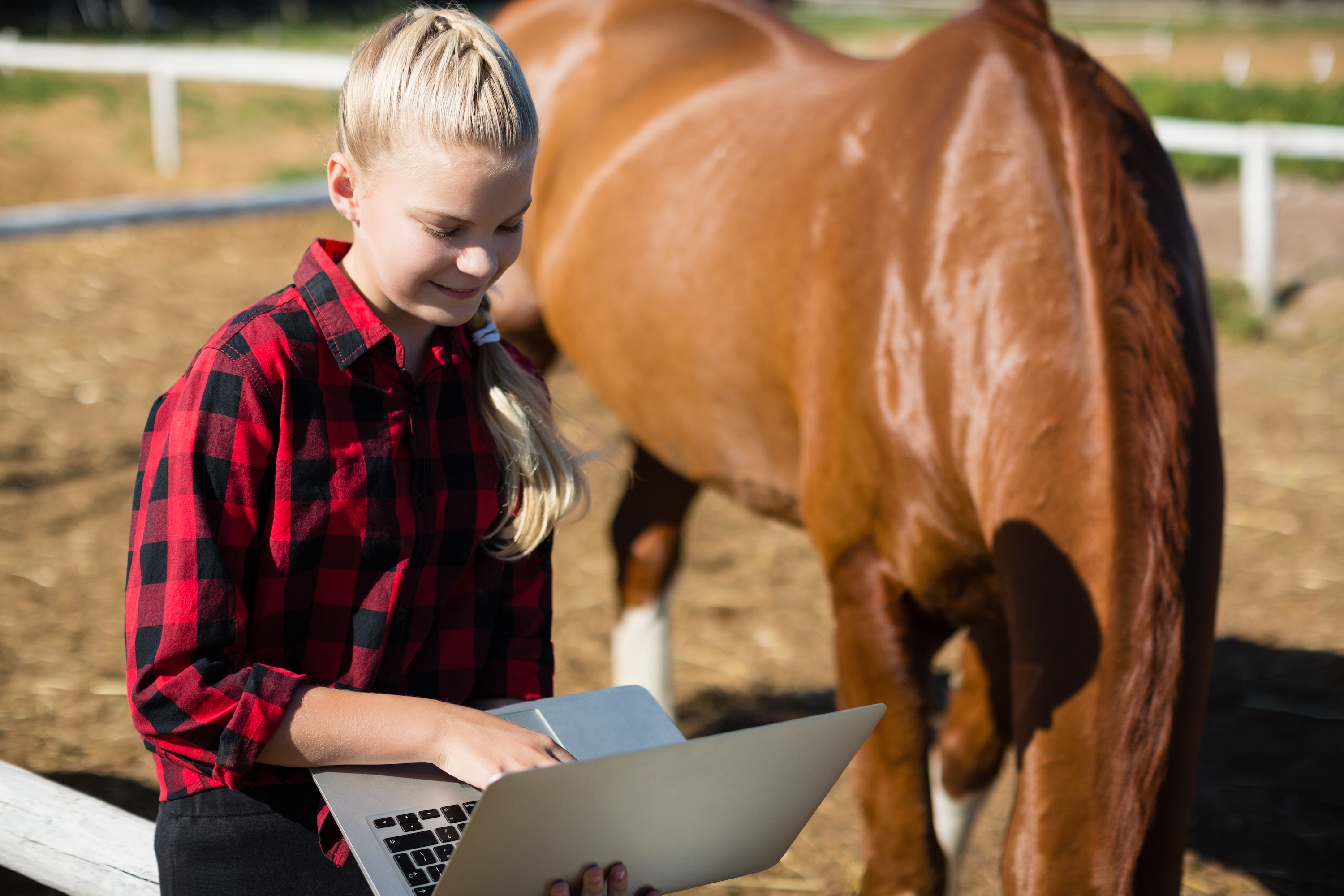 junge Frau benutzt Laptop leben ihrem fuchsfarbenen Pferd