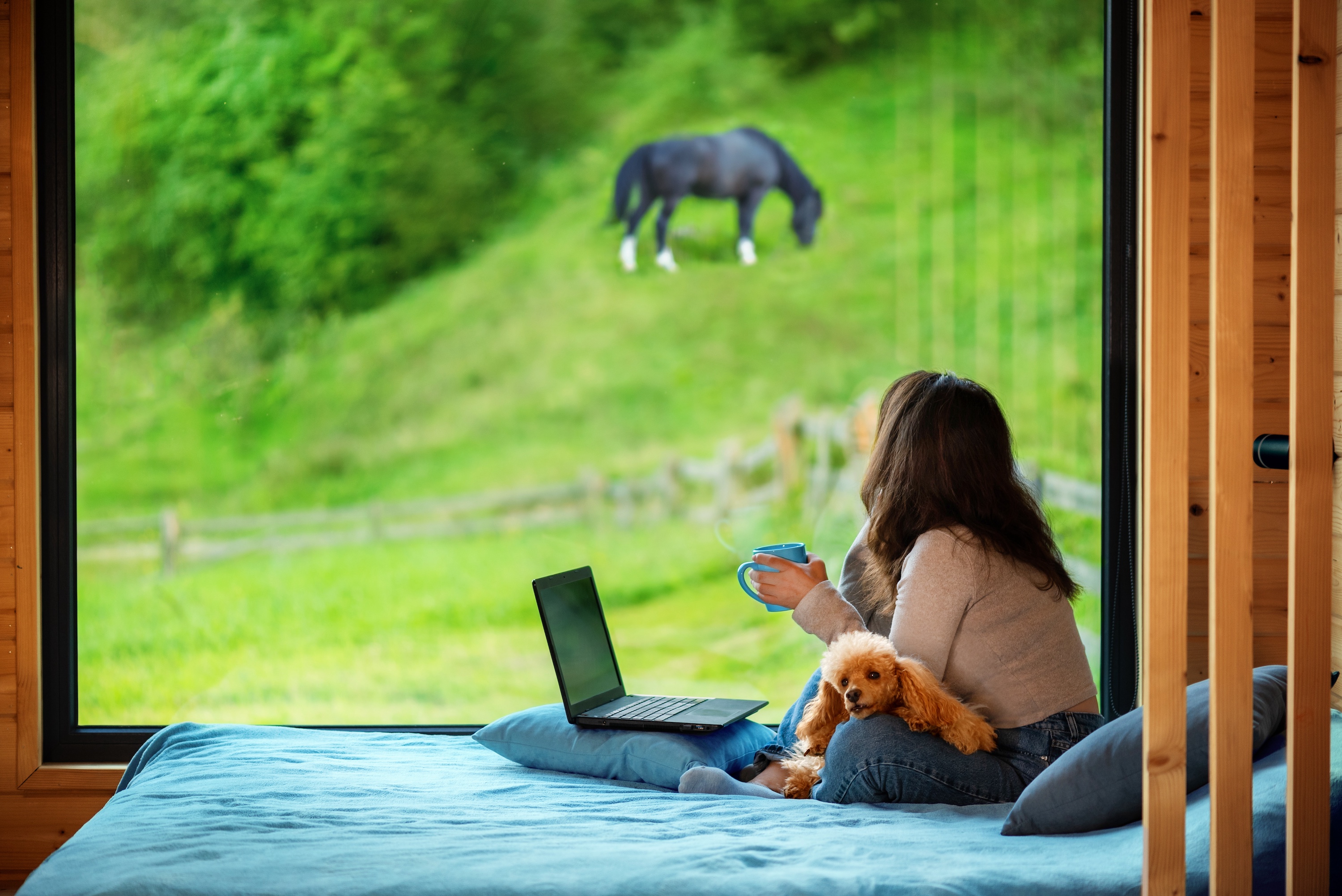 Frau sitzt mit Laptop am Fenster und sieht Pferd auf der Wiese