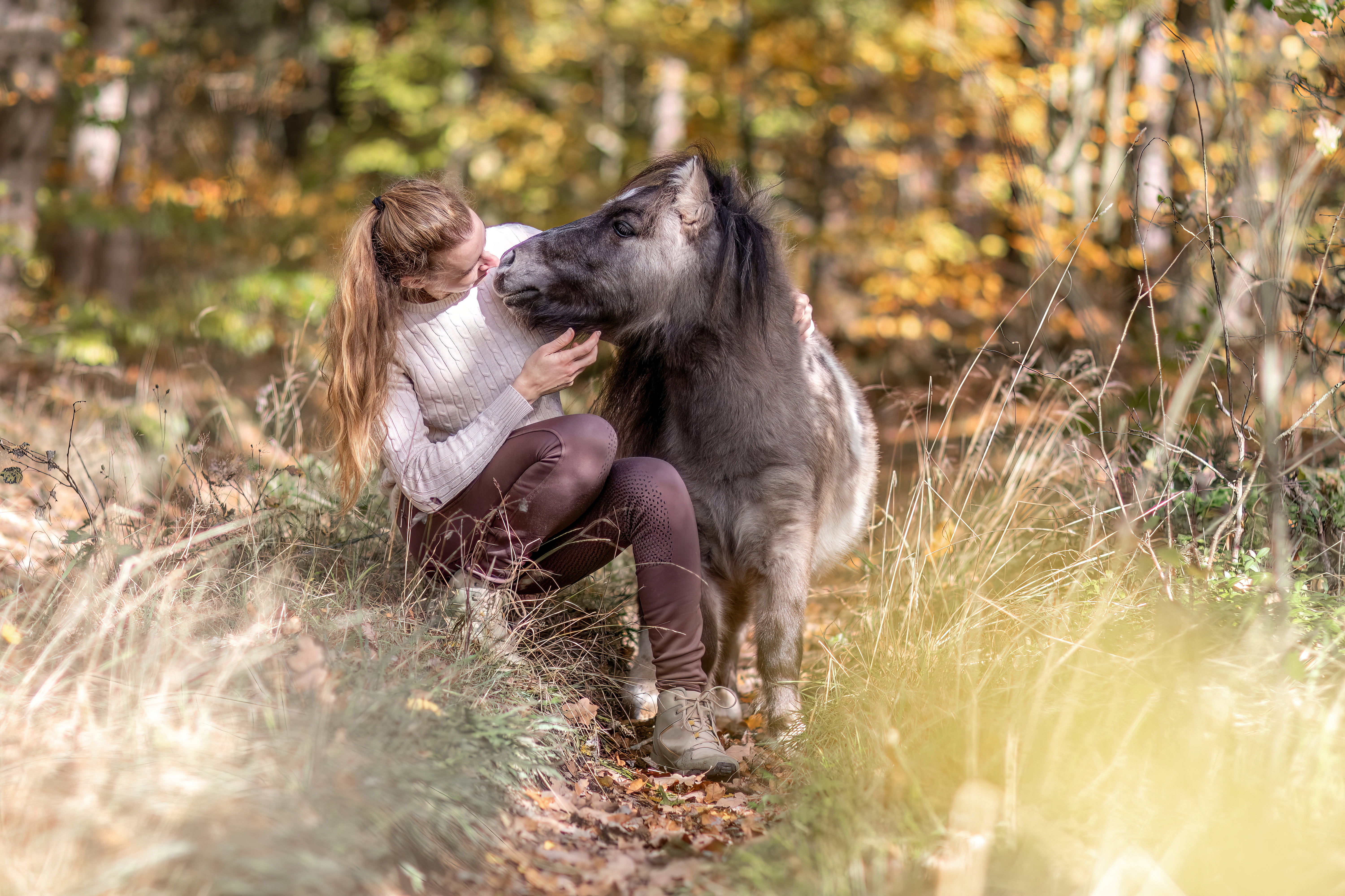Pferd im Fellwechsel