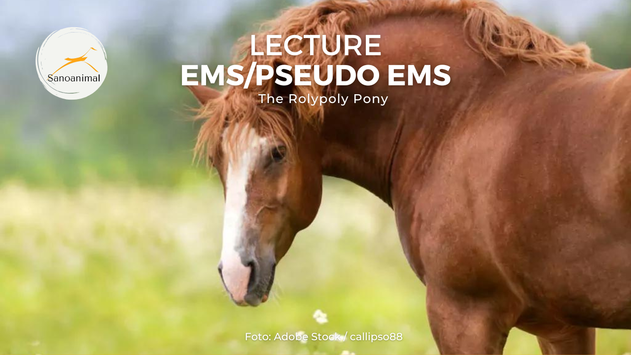Online Seminar on EMS (Equine Metabolic Syndrome)