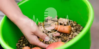 Podcast #31: Mash, Carrots & Oil – What Does Your Horse Really Need in Winter?