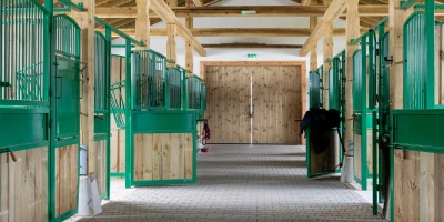 Stallbetrieb trotz Kostendruck: So bleibt dein Pferdepensionsbetrieb wirtschaftlich