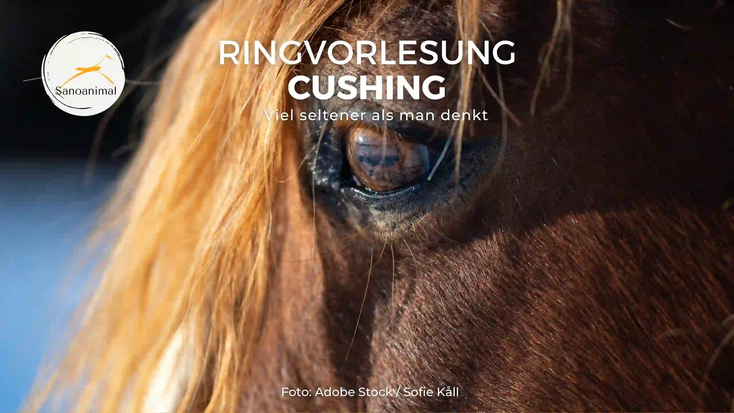 Ringvorlesung Cushing – Viel seltener als man denkt