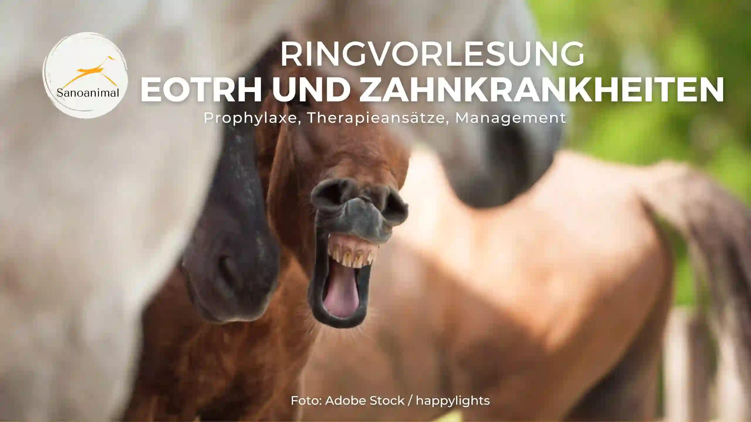 Ringvorlesung EOTRH &amp; andere Zahnkrankheiten – Prophylaxe, Therapieansätze, Management