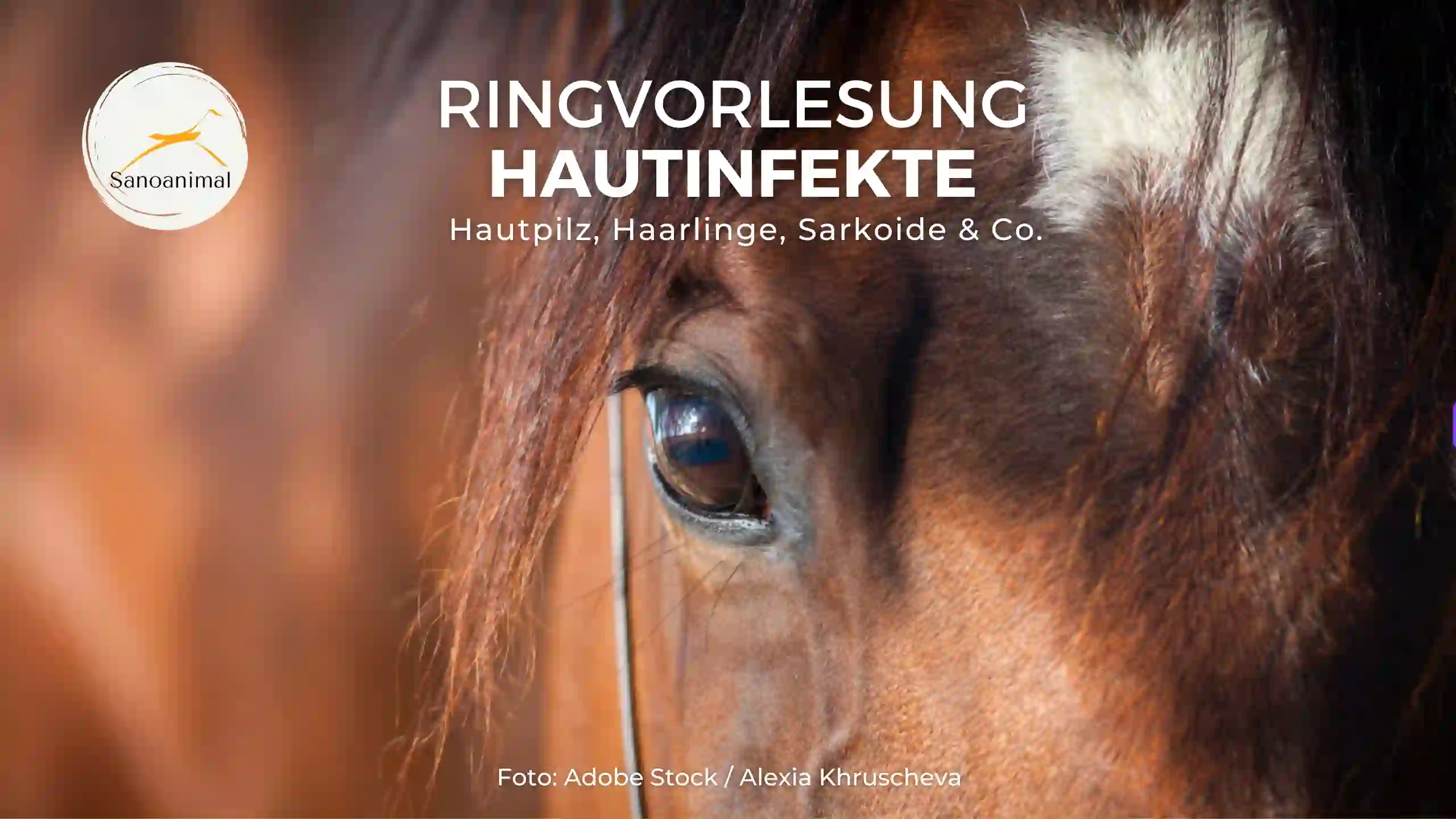 Ringvorlesung Hautinfekte – Hautpilz, Haarlinge, Sarkoide &amp; Co und was man nachhaltig tun kann