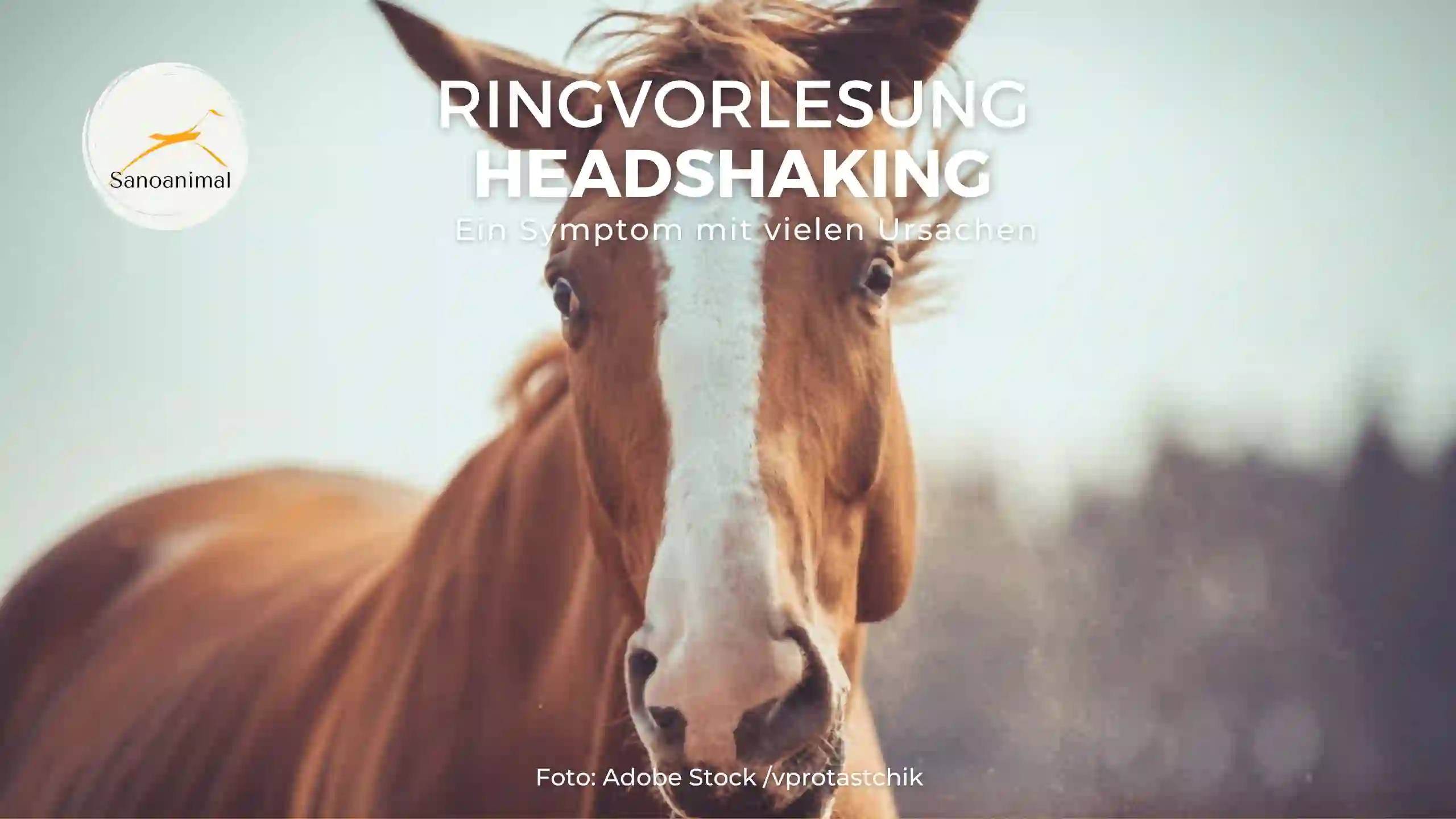 Ringvorlesung Headshaking – ein Symptom mit vielen Ursachen