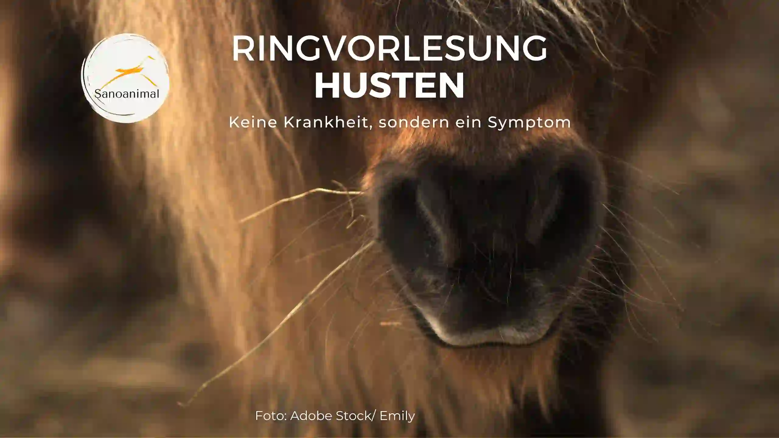 keine Krankheit, sondern ein Symptom