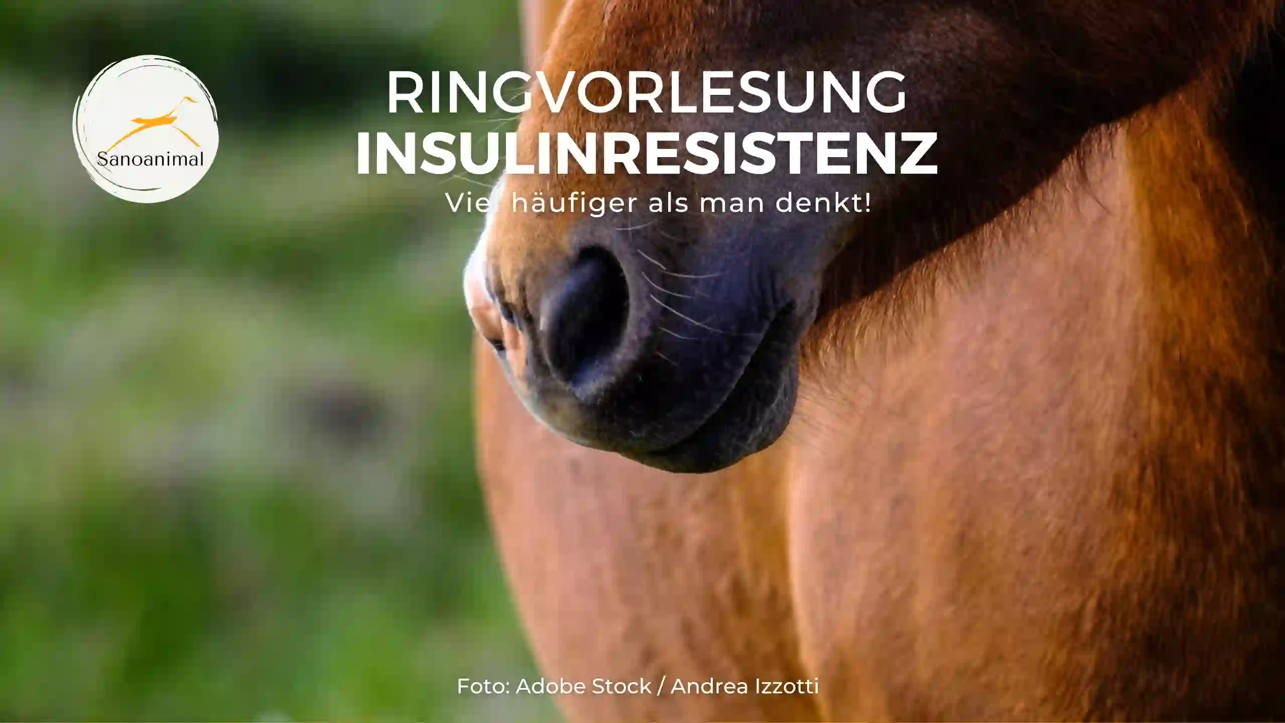 Ringvorlesung Insulinresistenz – viel häufiger als man denkt!