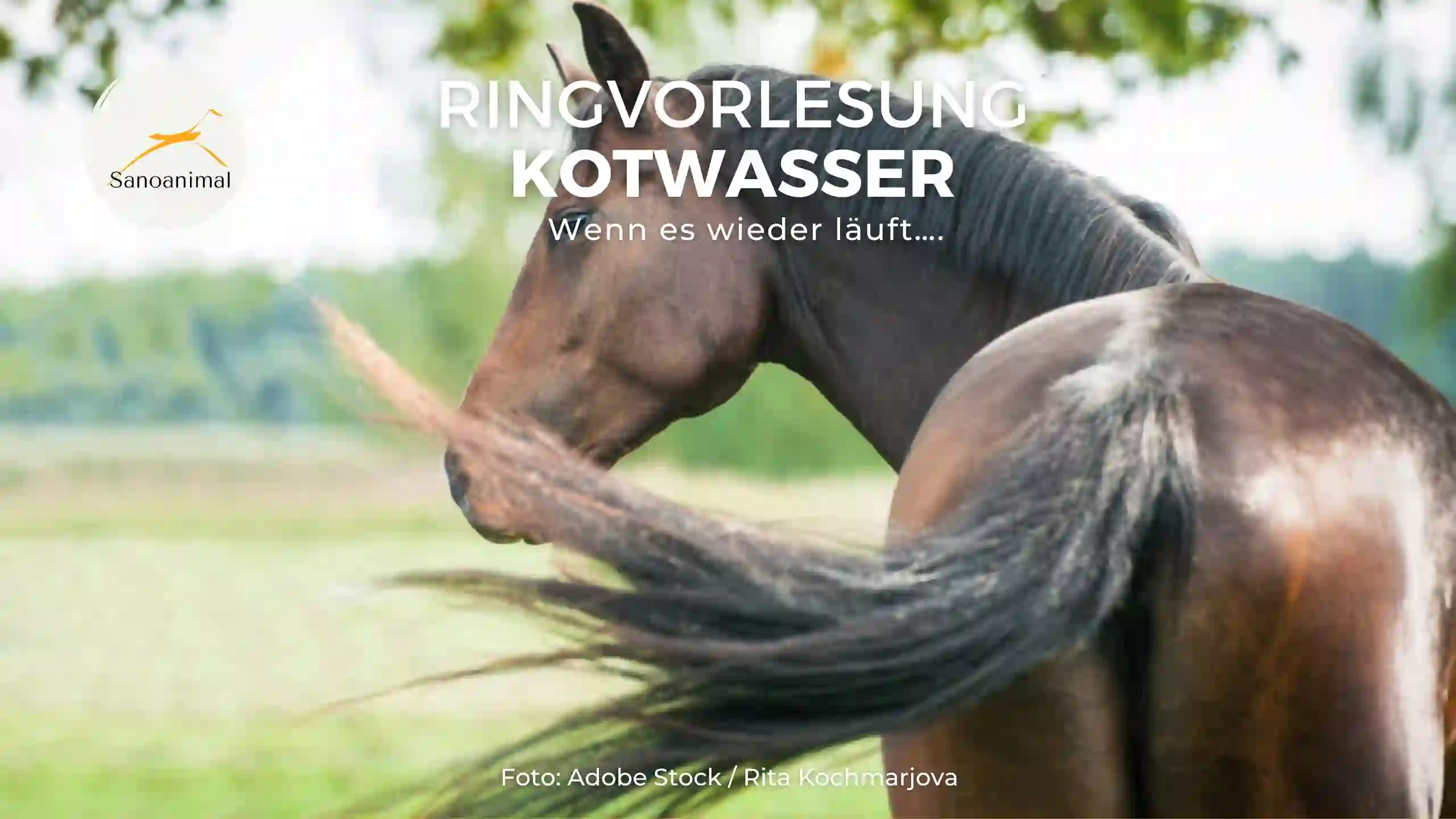 Ringvorlesung Kotwasser – wenn es wieder läuft….