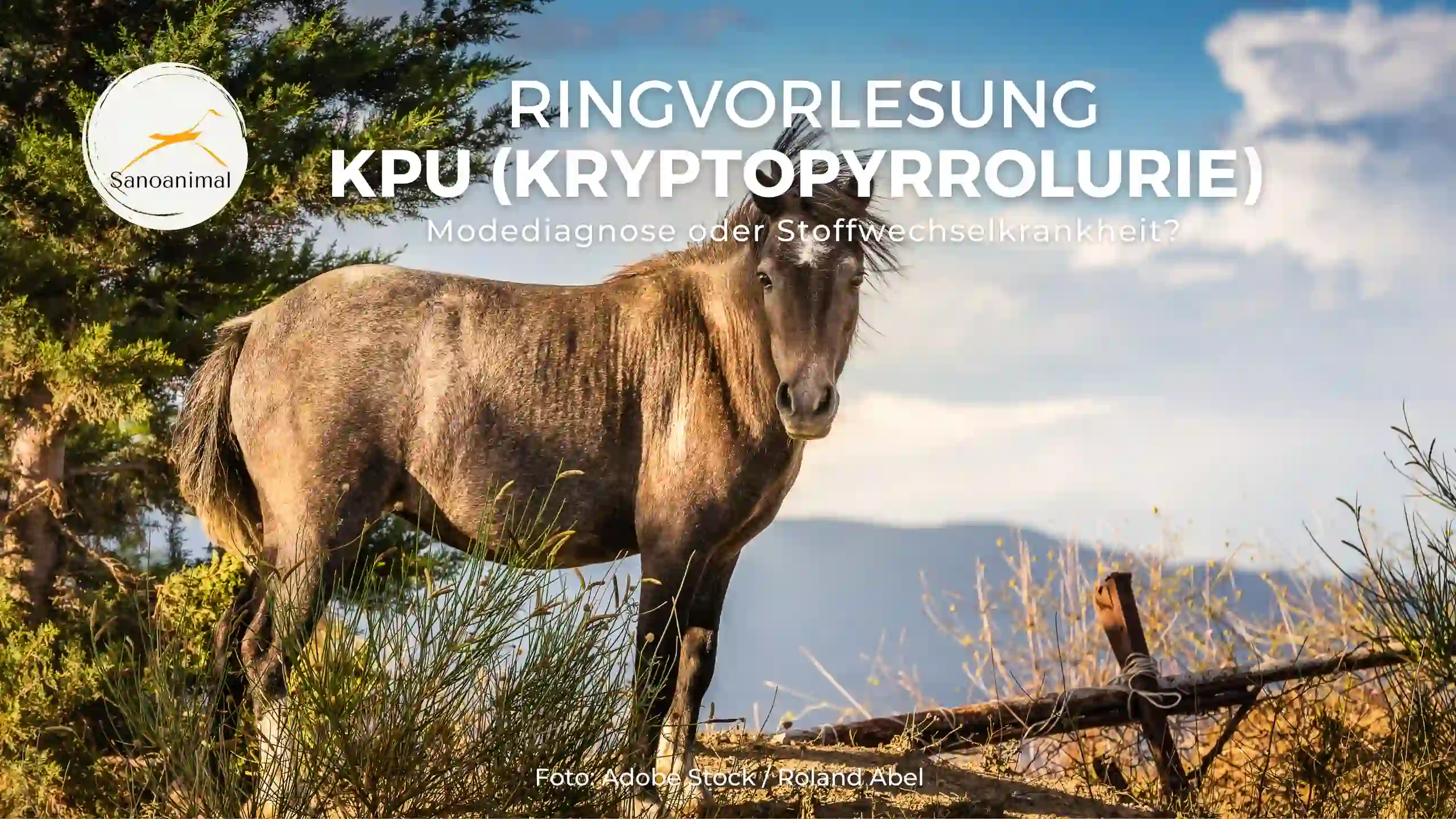 Ringvorlesung KPU (Kryptopyrrolurie) – Modediagnose oder Stoffwechselkrankheit?