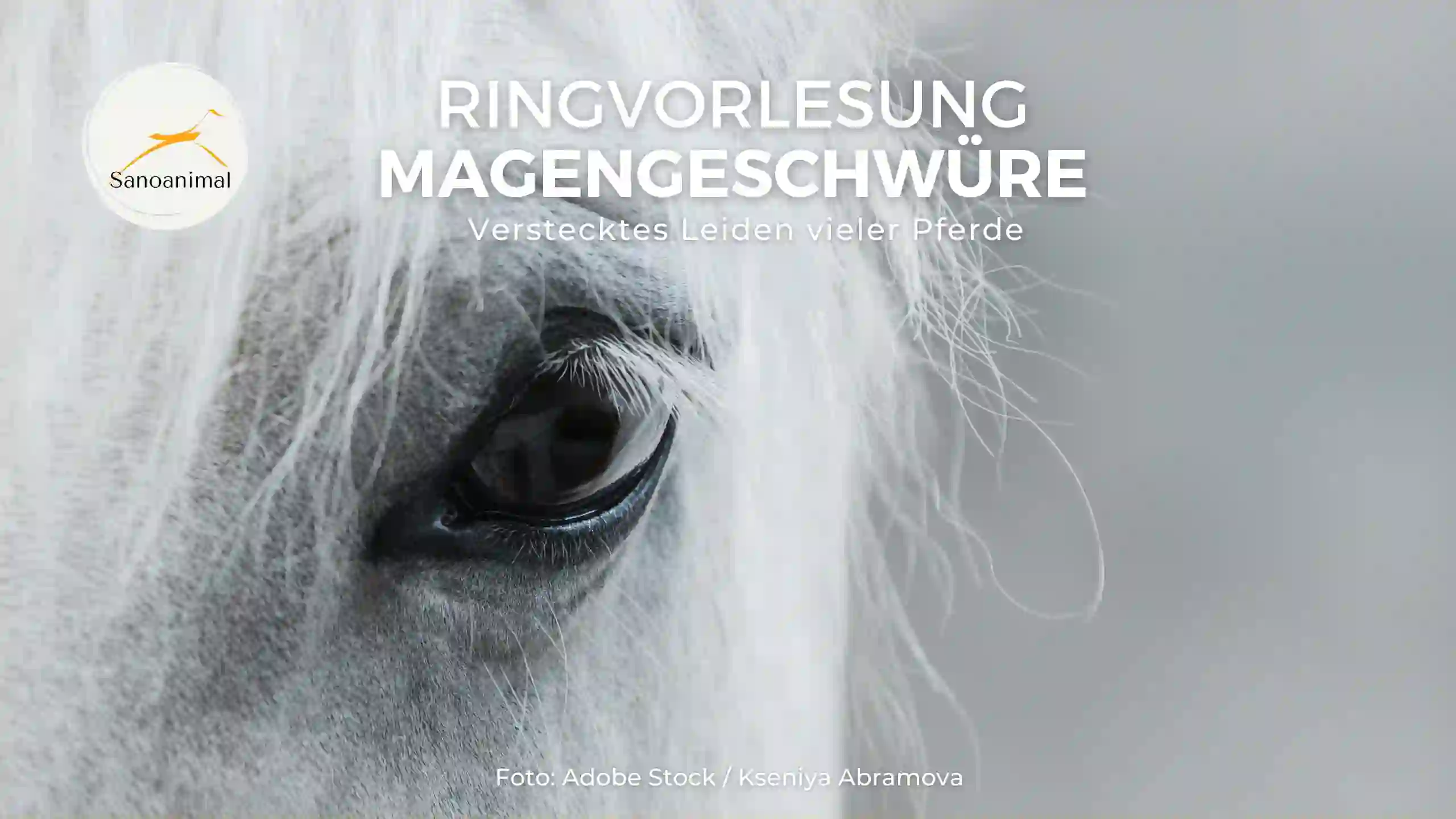 Ringvorlesung Magengeschwüre – verstecktes Leiden vieler Pferde