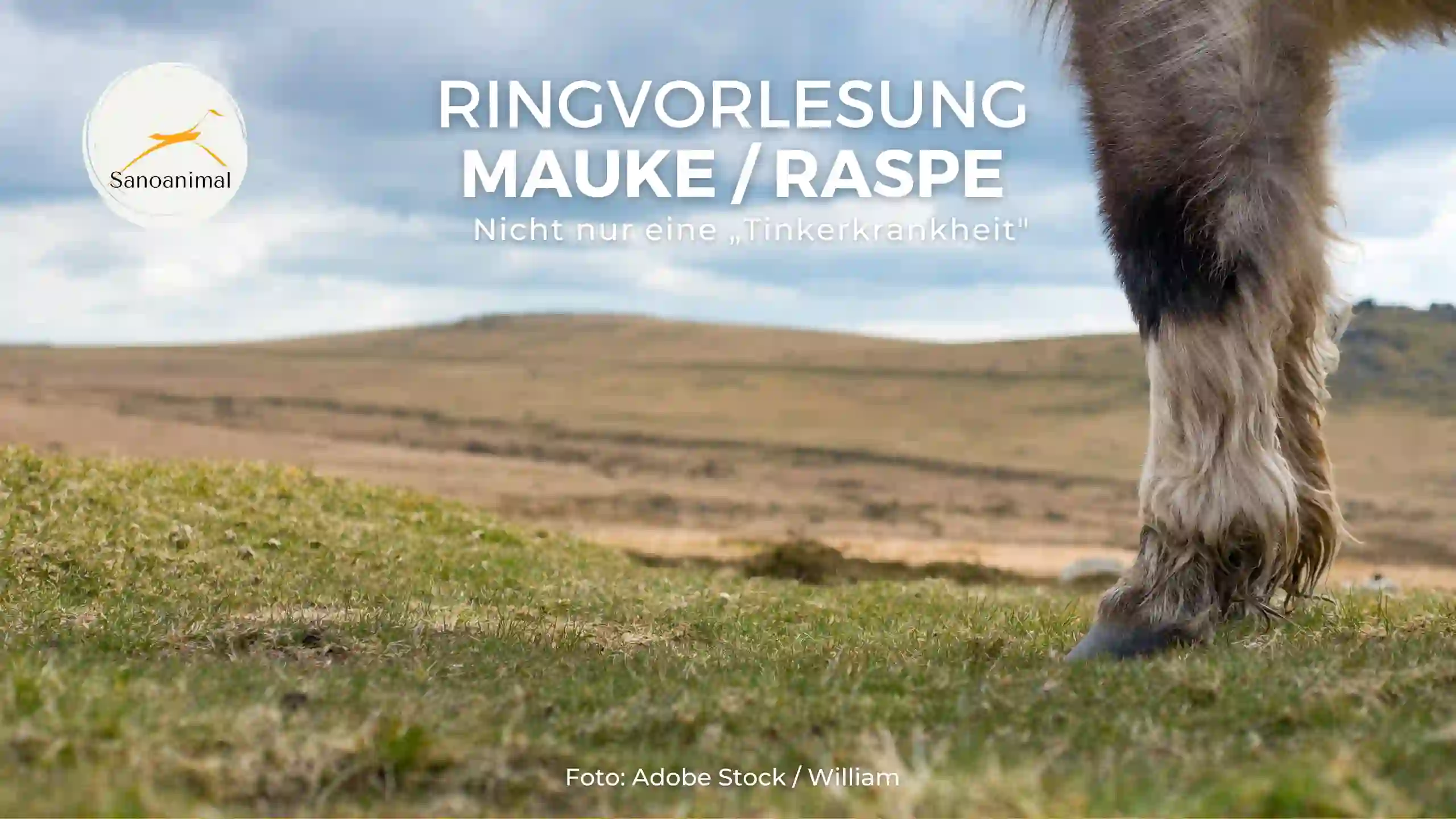 Ringvorlesung Mauke / Raspe – nicht nur eine „Tinkerkrankheit“