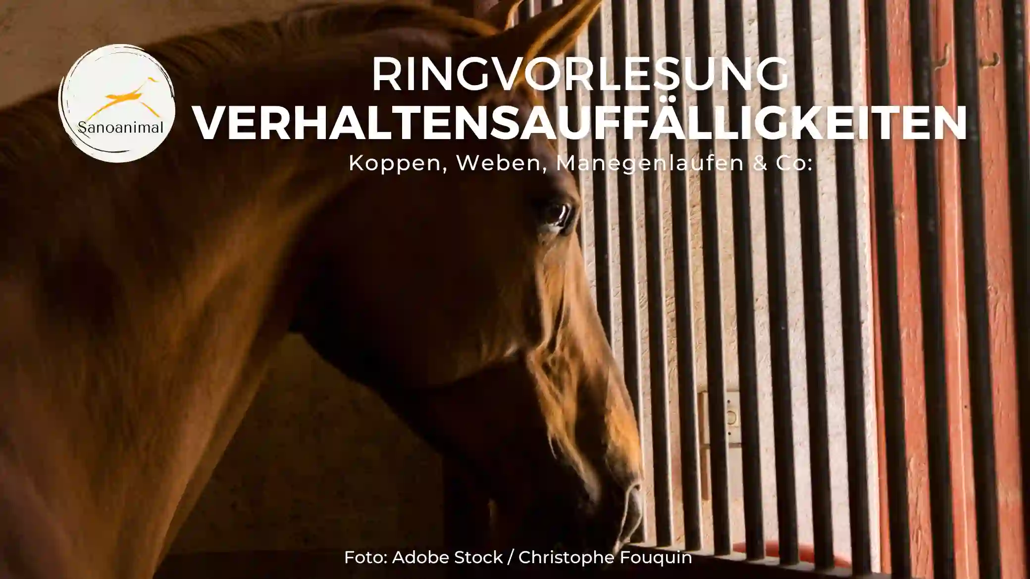 Ringvorlesung Verhaltensauffälligkeiten – Koppen, Weben, Manegenlaufen &amp; Co: Mögliche Ursachen, nachhaltiges Management