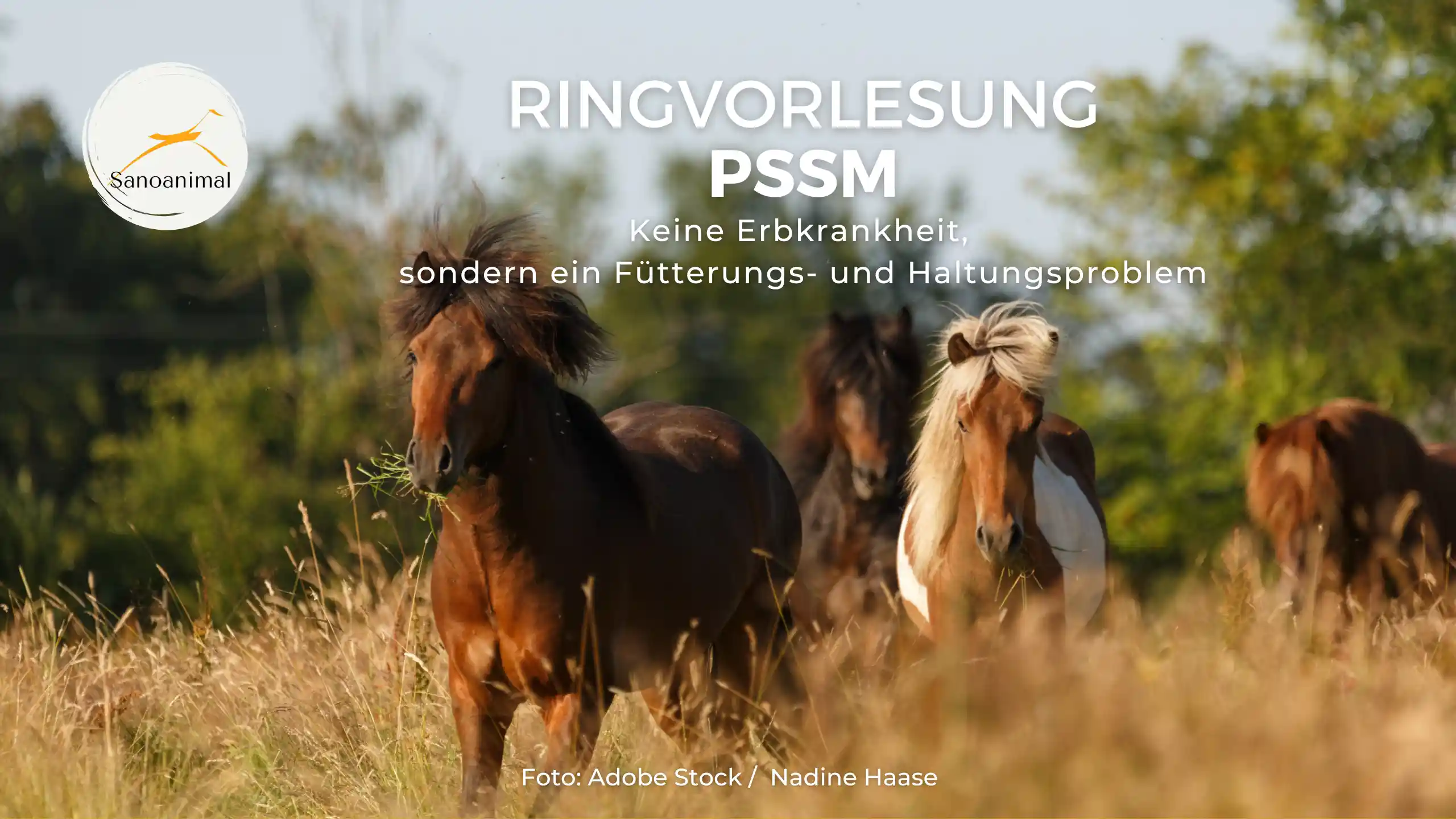 Ringvorlesung PSSM – keine Erbkrankheit, sondern ein Fütterungs- und Haltungsproblem