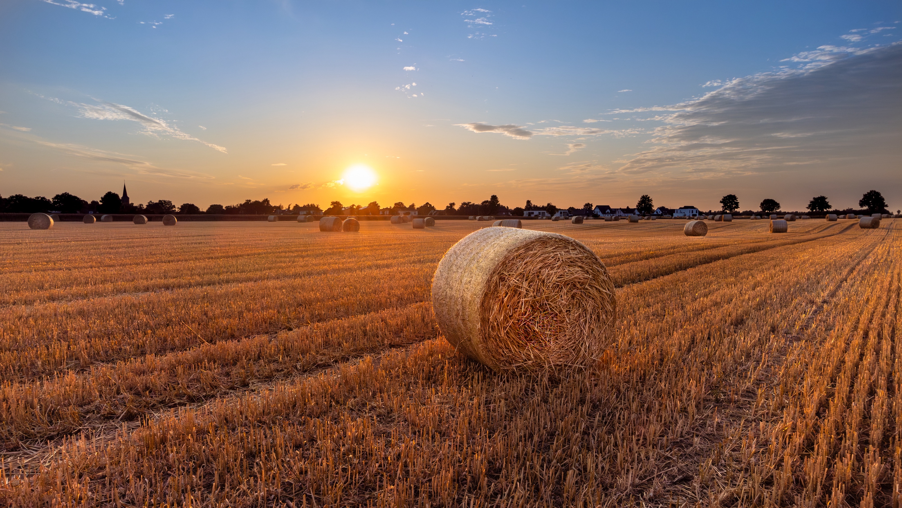 Strohballen auf dem Feld in der Abendsonne
