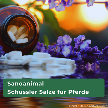 Schüssler-Salze