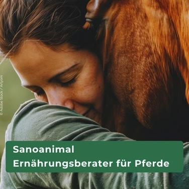  Ernährungsberater Pferd