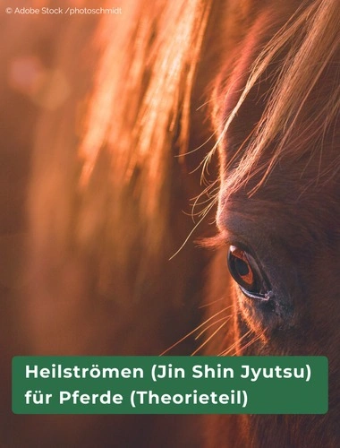 Heilströmen für Pferde
