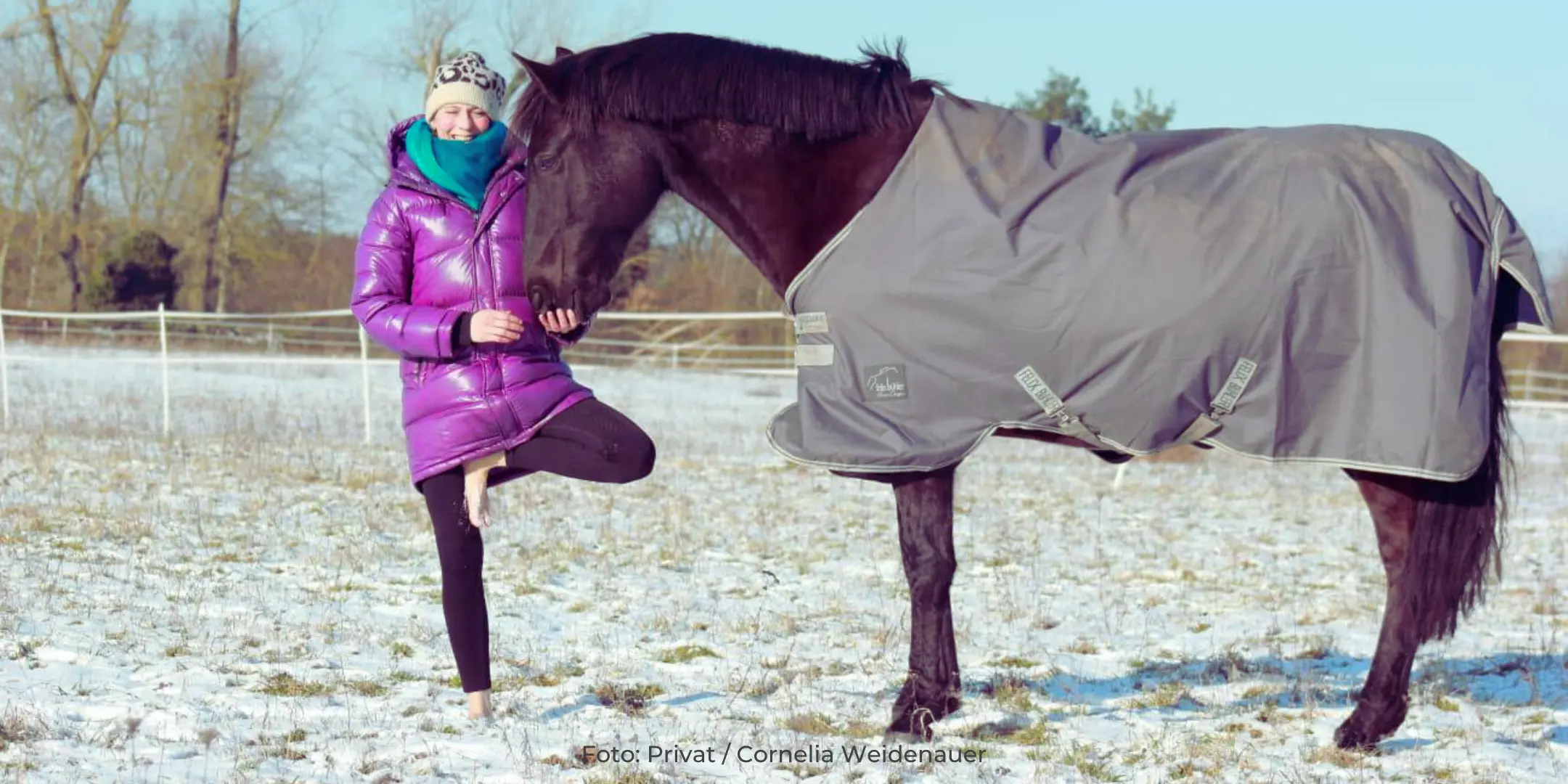 Mehr Harmonie im Sattel