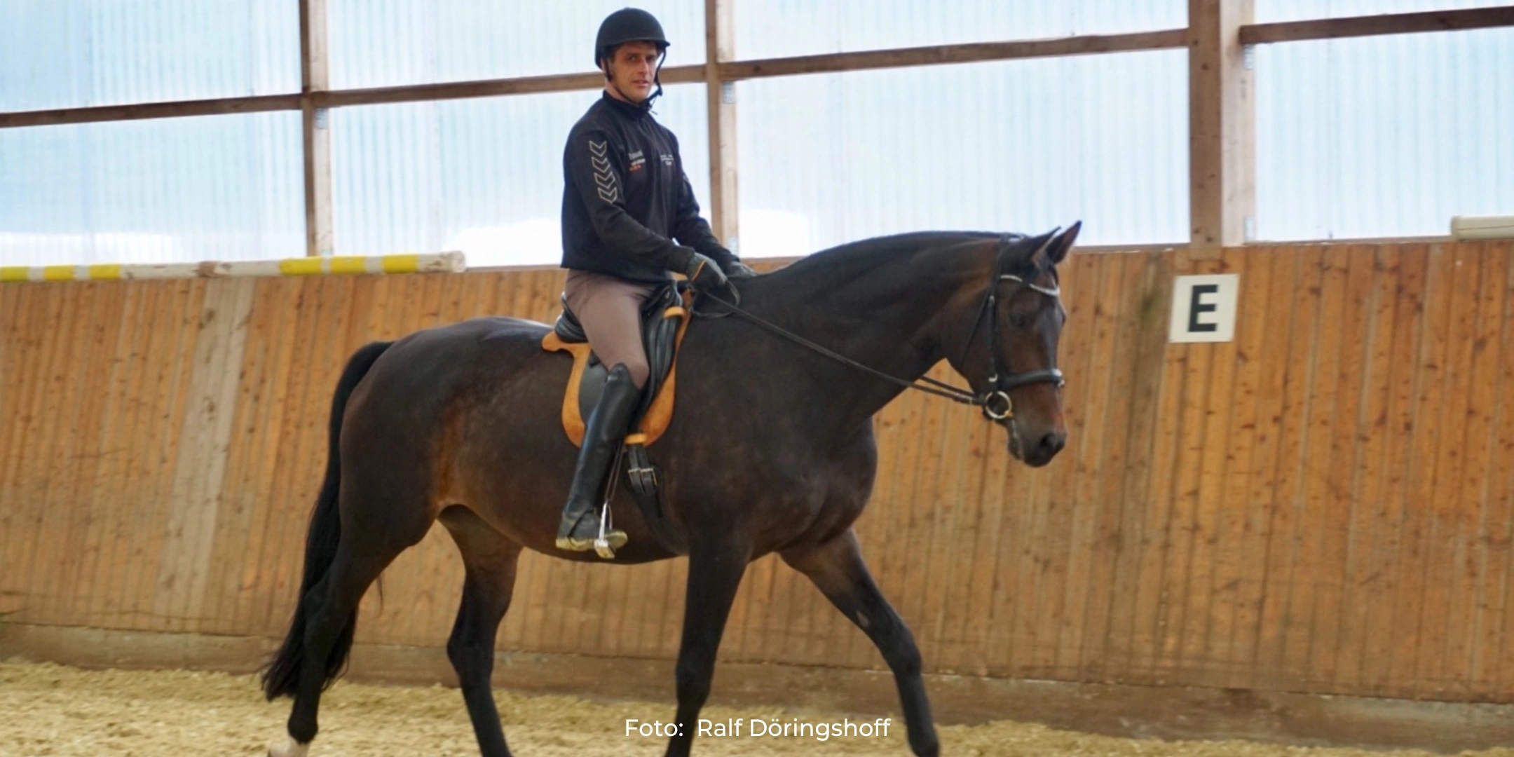 Forum Pferdegesundheit