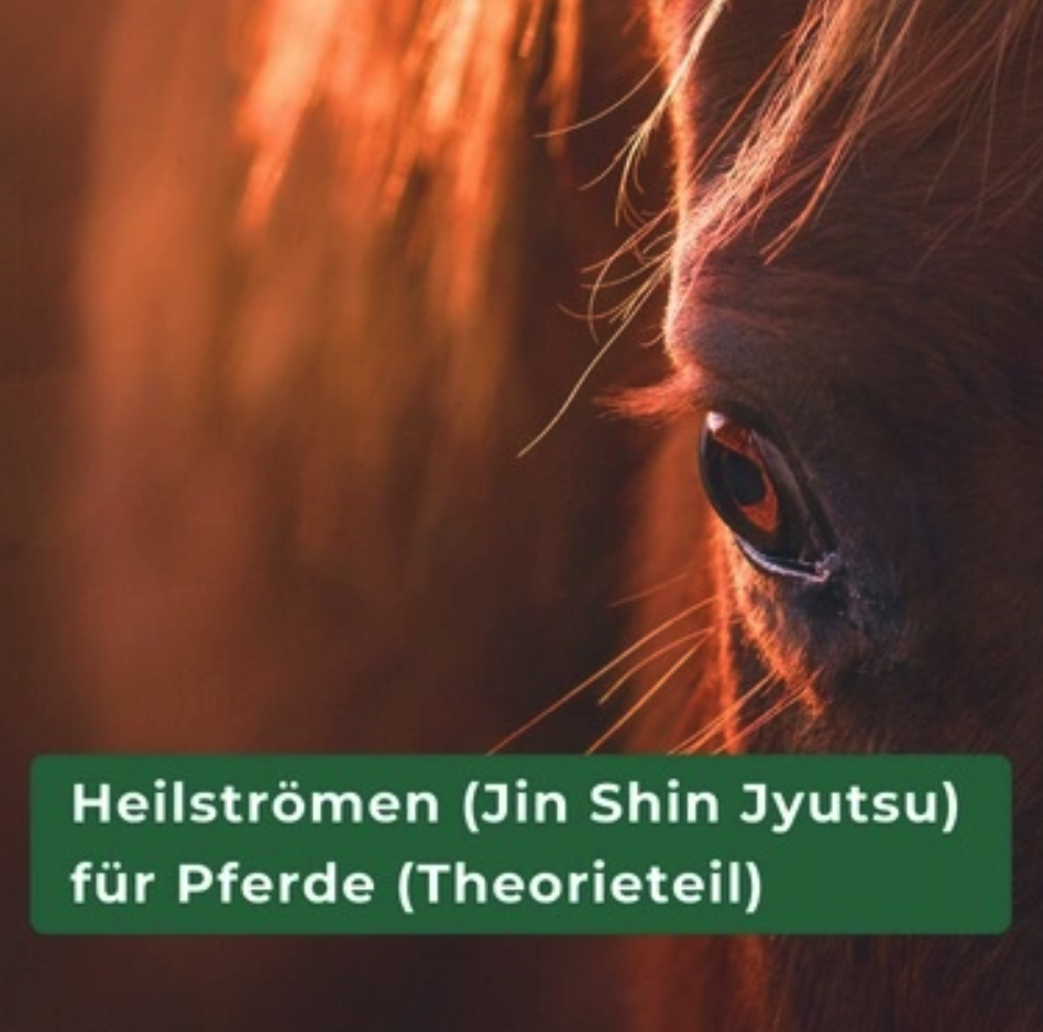 Heilströmen für Pferde