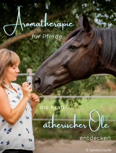 Aromatherapie für Pferde