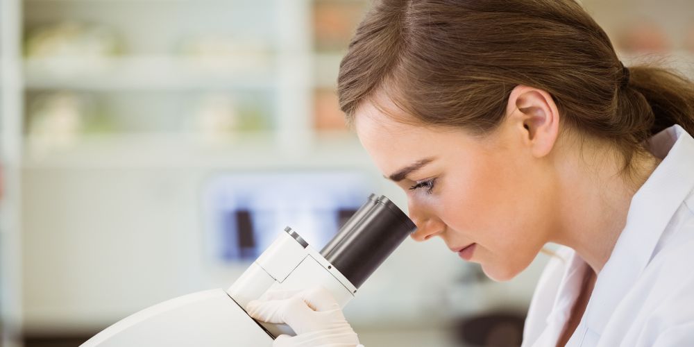 Wissenschaft rund ums Pferd – Erkenntnisse für Haltung & Gesundheit