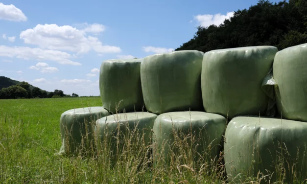 Factsheet Raufutter: Heulage (Silage, Gärheu, Haylage)