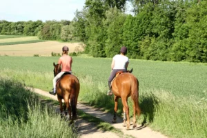 zwei Reiter auf Weg zwischen Wiesen