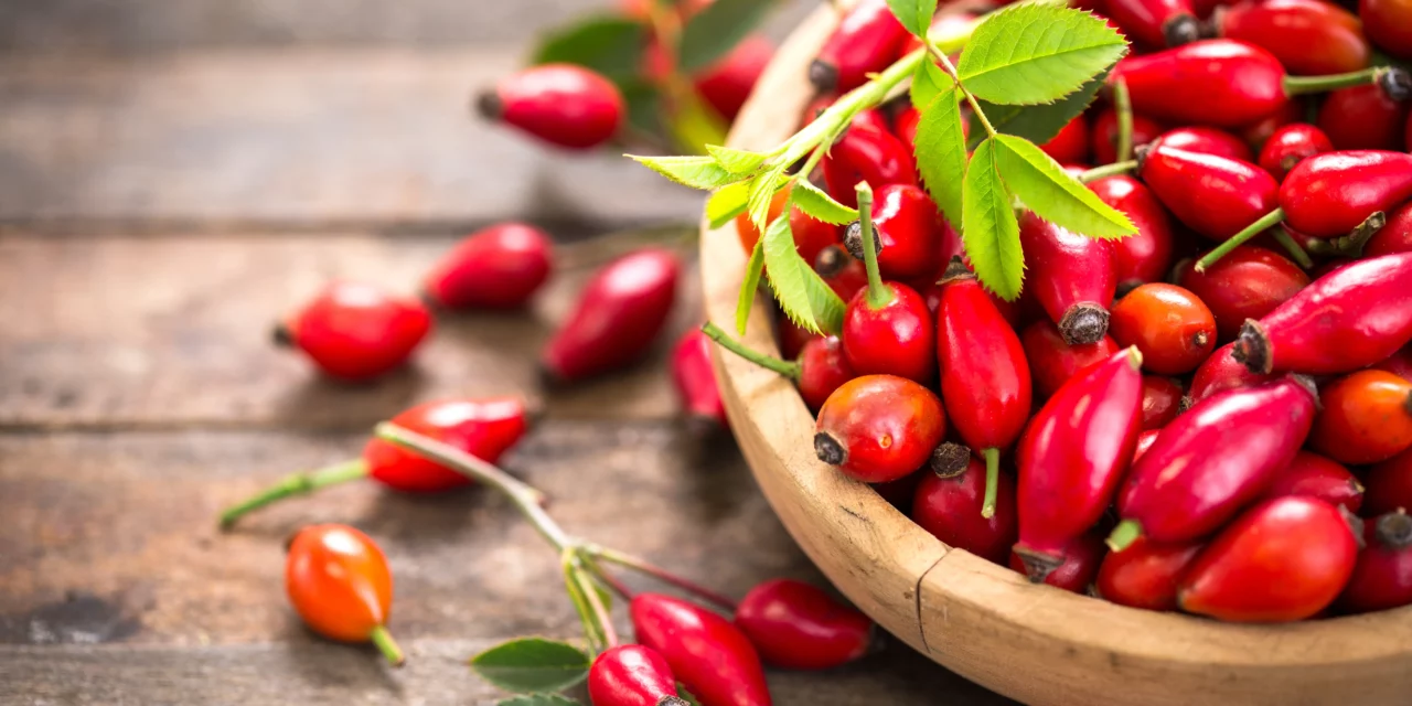 Herbstzeit – Hagebuttenzeit
