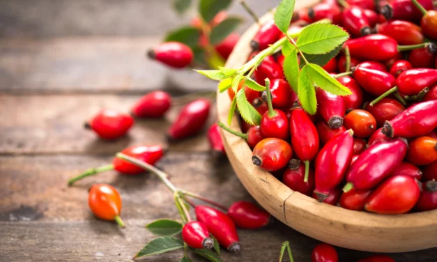 Herbstzeit – Hagebuttenzeit