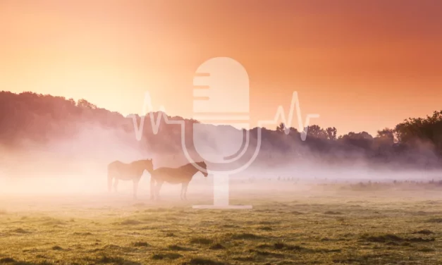 Sanoanimal Podcast #5 Abweiden – was man beachten sollte