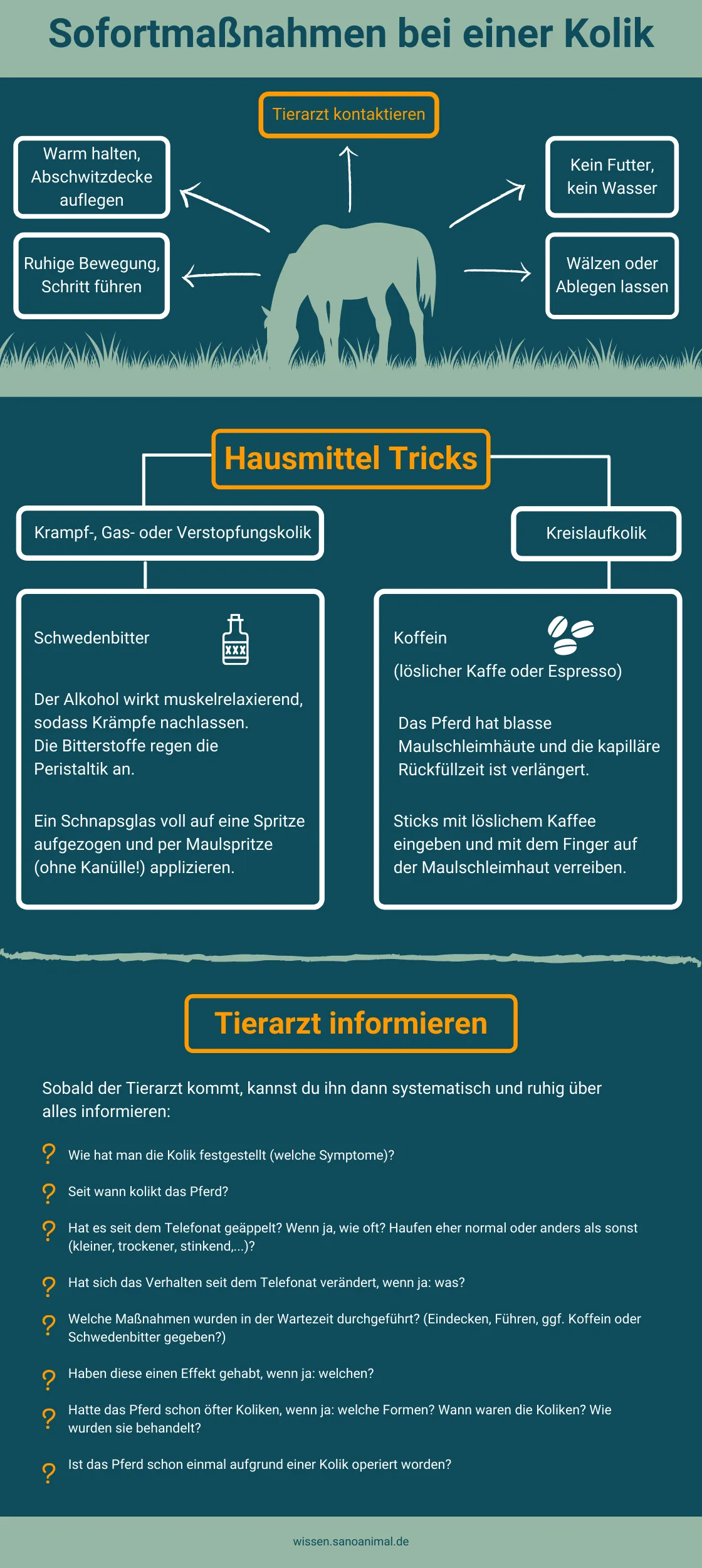 Sofortmaßnahmen bei einer Kolik