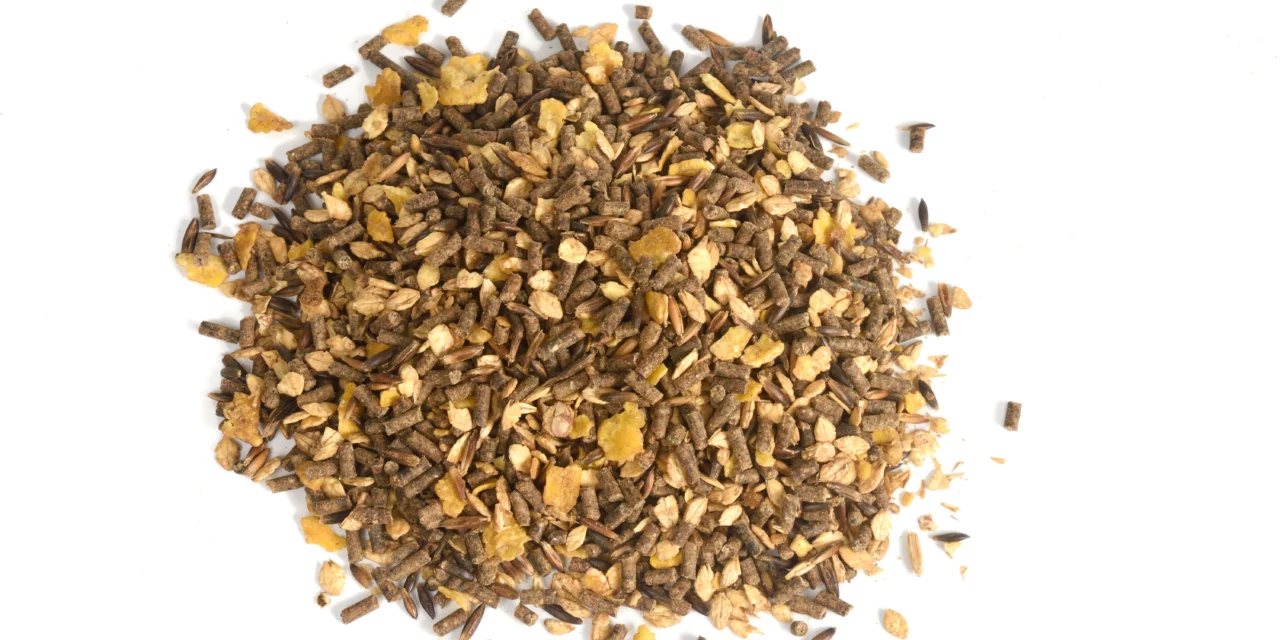 Gesunde Fütterung ist mehr als Heu und Müsli