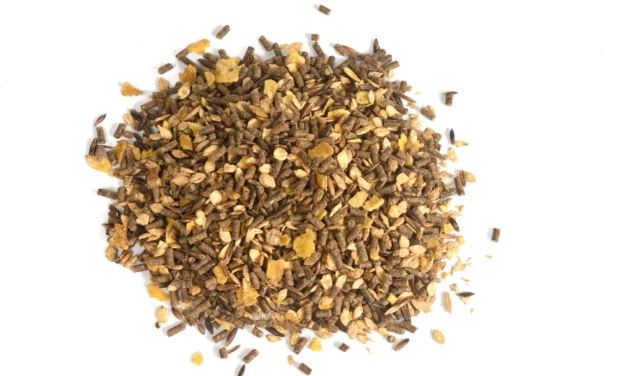 Gesunde Fütterung ist mehr als Heu und Müsli