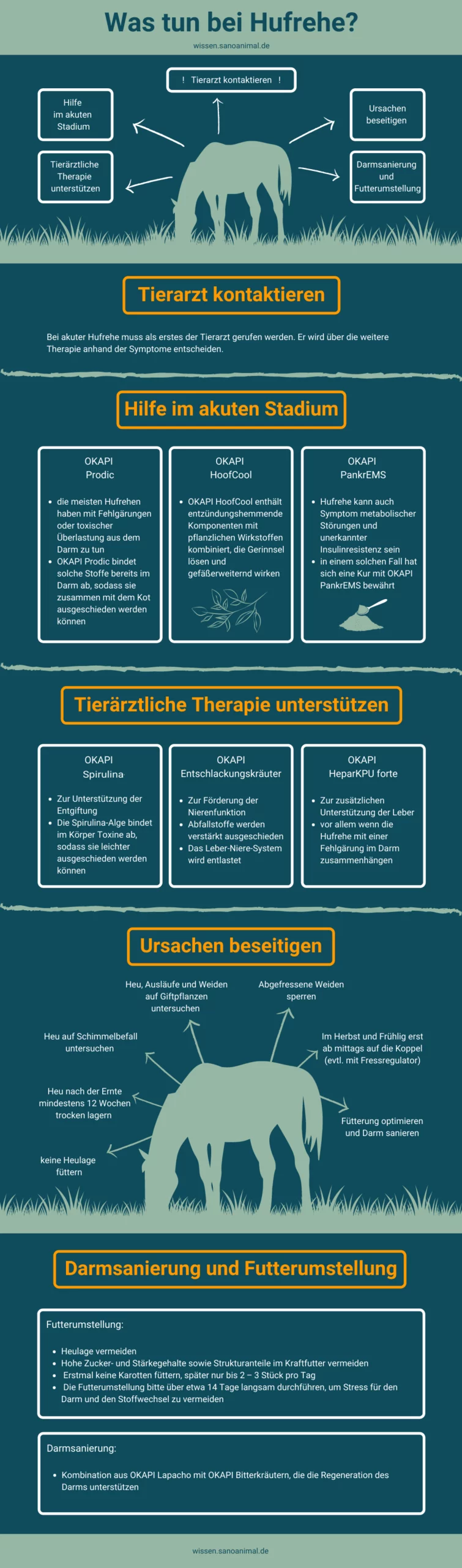 Grafik Was tun bei Hufrehe
