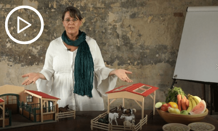 Dr. rer. nat Christina Fritz
